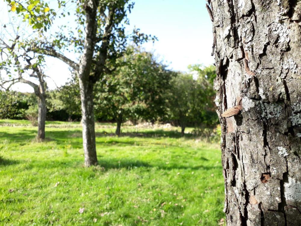 Terre De Reveries Panzió Maisoncelles-la-Jourdan Kültér fotó