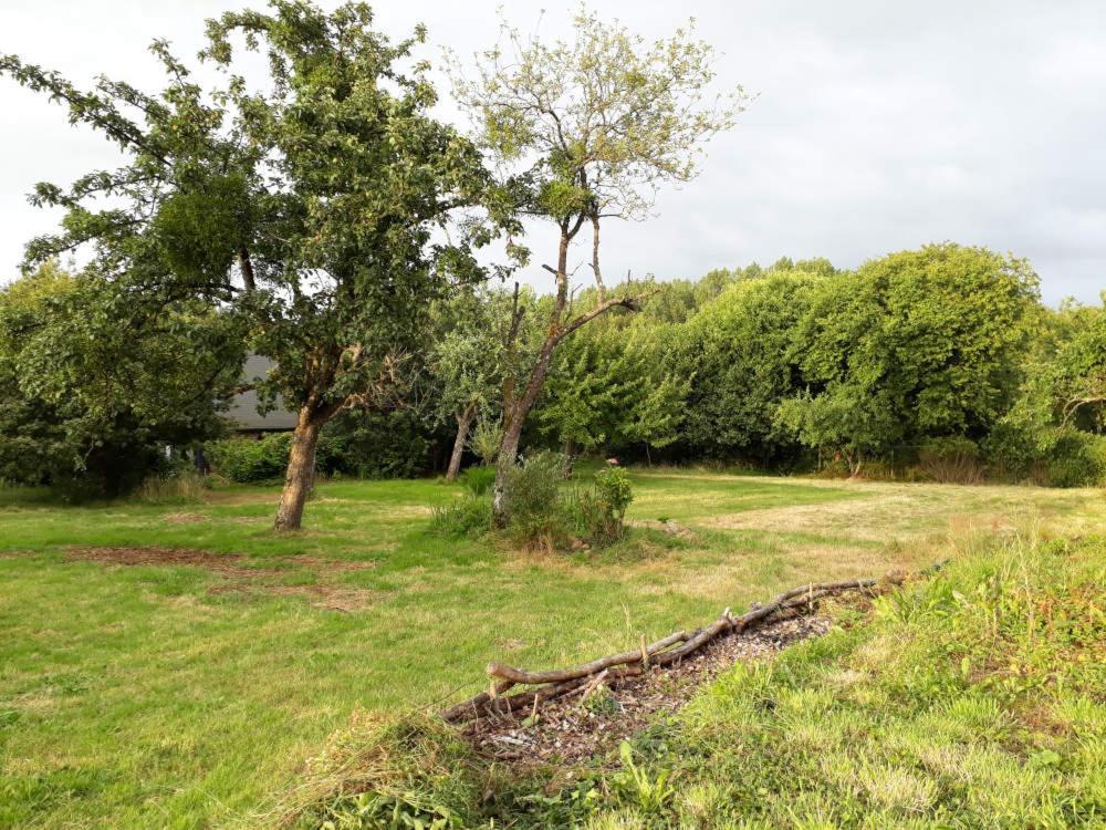 Terre De Reveries Panzió Maisoncelles-la-Jourdan Kültér fotó